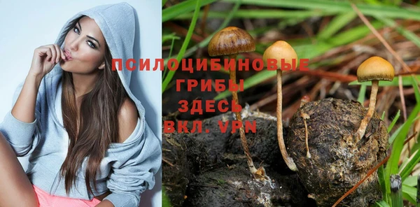 марихуана Алексеевка