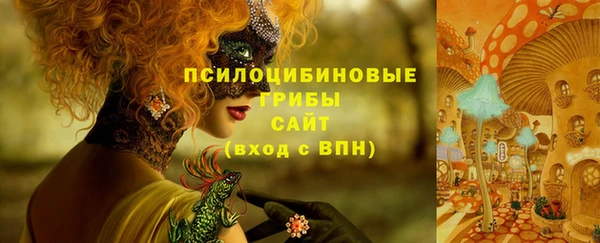 молекула духа Алексин