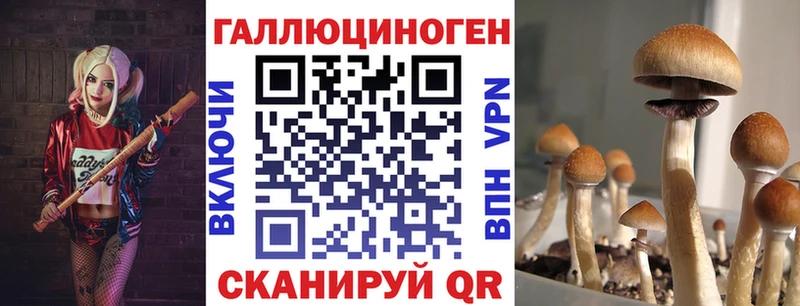 купить наркотики сайты  Тара  Псилоцибиновые грибы прущие грибы 